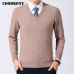 COODRONY Sweater Men Clothes 2019 Autumn Winter Cashmere Wool Pullover Sweaters Plus Size Business Casual V-Neck Pull Homme 8128