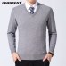 COODRONY Sweater Men Clothes 2019 Autumn Winter Cashmere Wool Pullover Sweaters Plus Size Business Casual V-Neck Pull Homme 8128