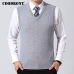 COODRONY Sweater Men Clothes 2019 Autumn Winter Warm Cashmere Wool Pull Homme Classic Casual V-Neck Sleeveless Vest Sweaters 126