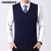 COODRONY Sweater Men Clothes 2019 Autumn Winter Warm Cashmere Wool Pull Homme Classic Casual V-Neck Sleeveless Vest Sweaters 126