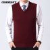 COODRONY Sweater Men Clothes 2019 Autumn Winter Warm Cashmere Wool Pull Homme Classic Casual V-Neck Sleeveless Vest Sweaters 126