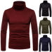 Hot Fashion Mens Sweater Solid Roll Turtle Neck Pullover Knitted Jumper Winter Male Fashion Casual Tops