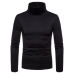 Hot Fashion Mens Sweater Solid Roll Turtle Neck Pullover Knitted Jumper Winter Male Fashion Casual Tops