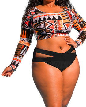 Euramerican Printed Hollow-out Nylon Two-piece Swimwear