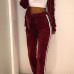 Euramerican Long Sleeves Patchwork Wine Red Velvet Two-piece Pants Set Euramerican Long Sleeves Patchwork Wine Red Velvet Two-piece Pants Set