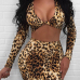 Leopard Knitting Skirt Leopard V Neck Long Sleeve Sexy Two Pieces Leopard Knitting Skirt Leopard V Neck Long Sleeve Sexy Two Pieces