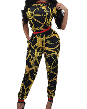 Stylish Round Neck Short Sleeves Printed Patchwork Black Milk Fiber Two-piece Pants Set