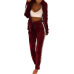 LAAMEI Women Set Sportswear Autumn Winter Warm Velvet Tracksuit Two Piece Set Stripe Sweatshirt Pant Sweat Suit Home Clothing