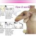 10pcs Women Breast Thira Stickers Adhesive Nipple Cover Pads push Up Bra Tape Sticker Disposable Paste Anti Emptied Chest Paste