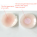 Wholesale Hot Sale 2Pcs/1Pair Silicone Nipple Cover Bra Pad Skin Adhesive Reusable Invisible Breast Petals For Party Dress